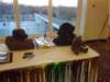dsc00005_small.jpg